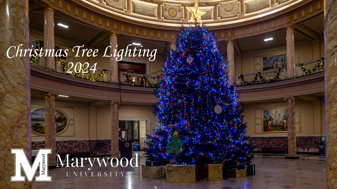 FY25ChristmasTreeLighting